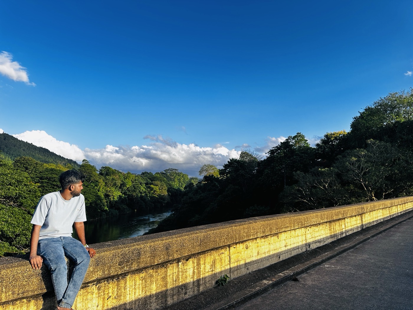 Sitting above the forest canopy on a hill-country road