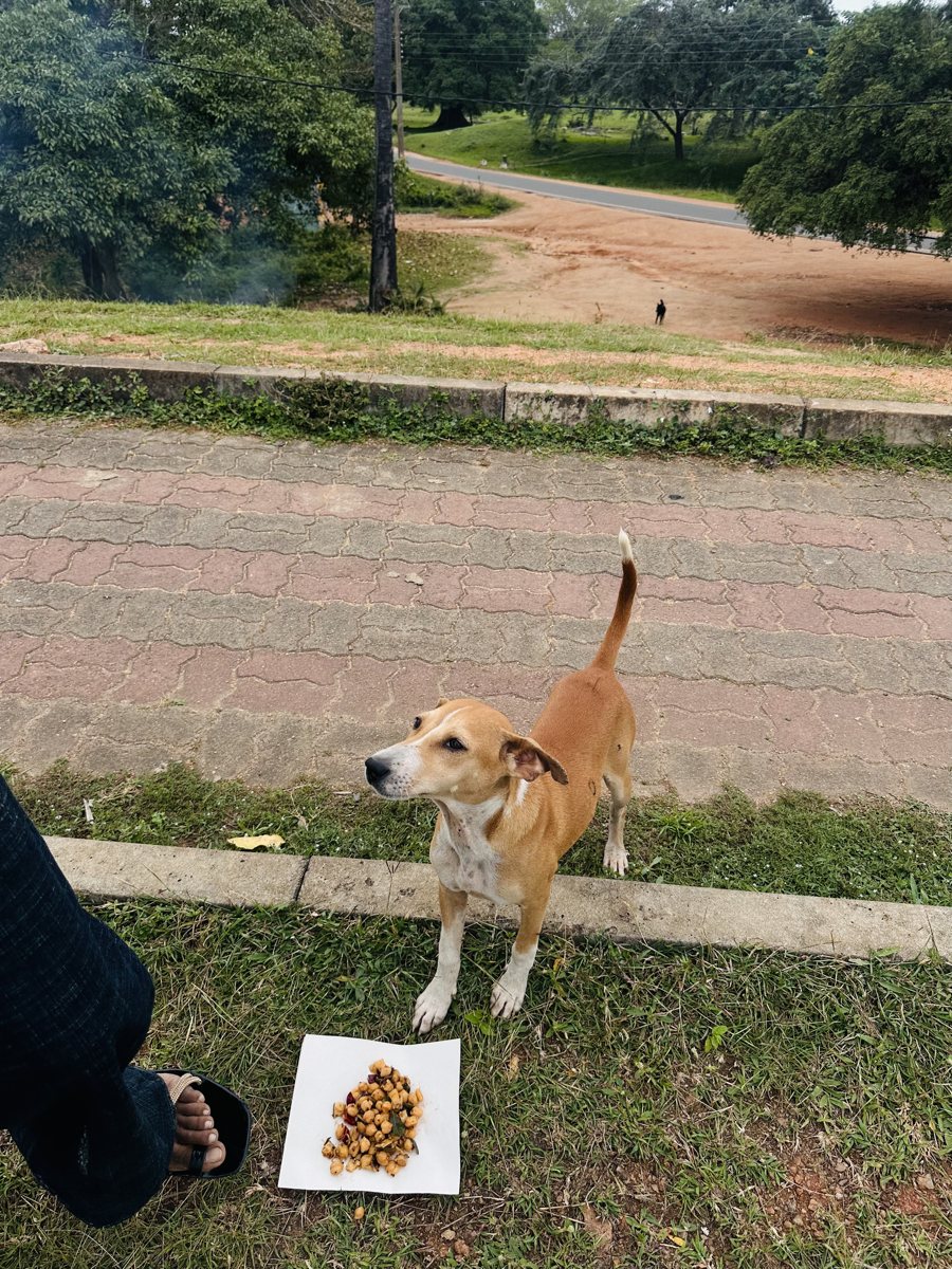 A friendly local