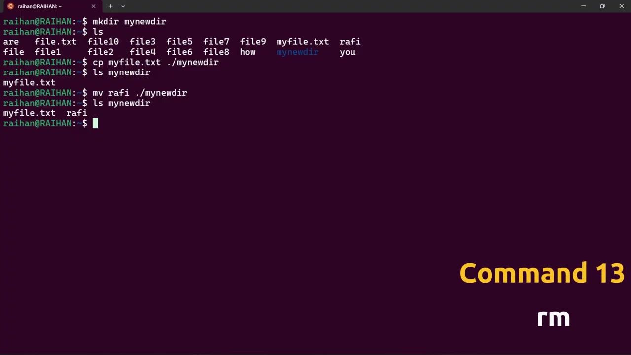 Screenshot: rm command in action