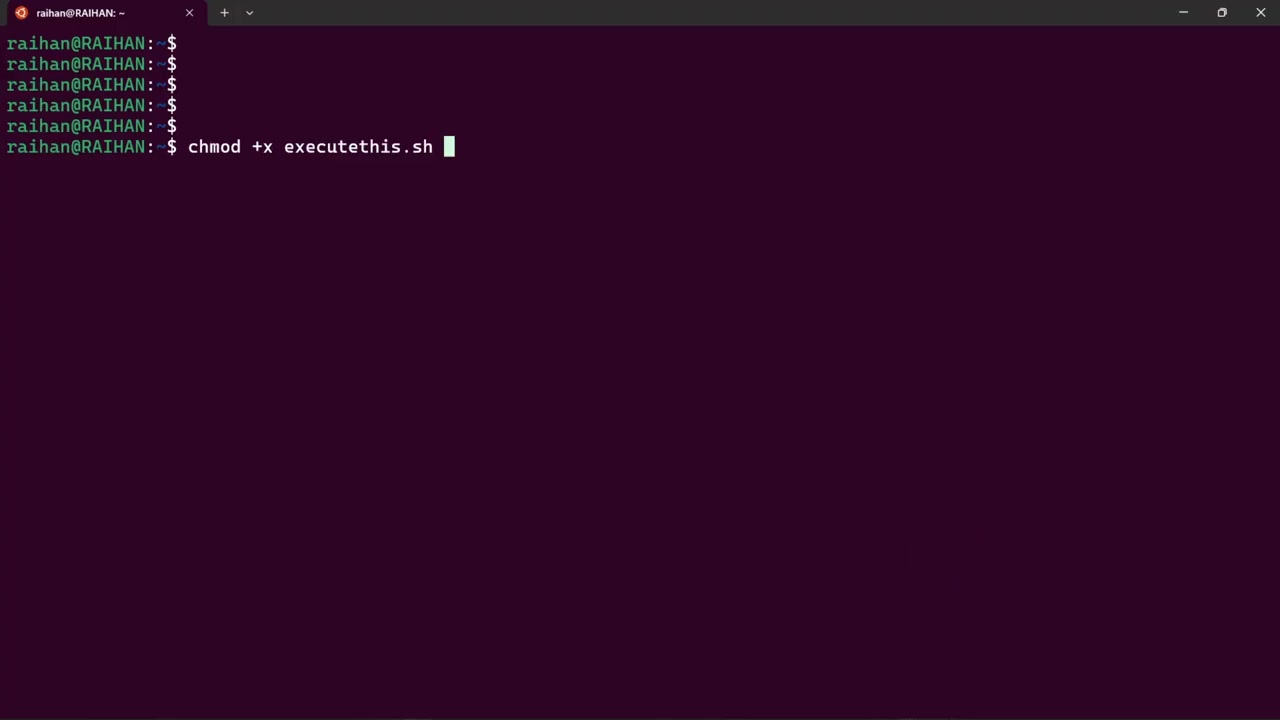 Screenshot: chmod permissions matrix