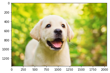 Processing image data for Deep Learning — figure 1