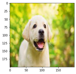 Processing image data for Deep Learning — figure 2