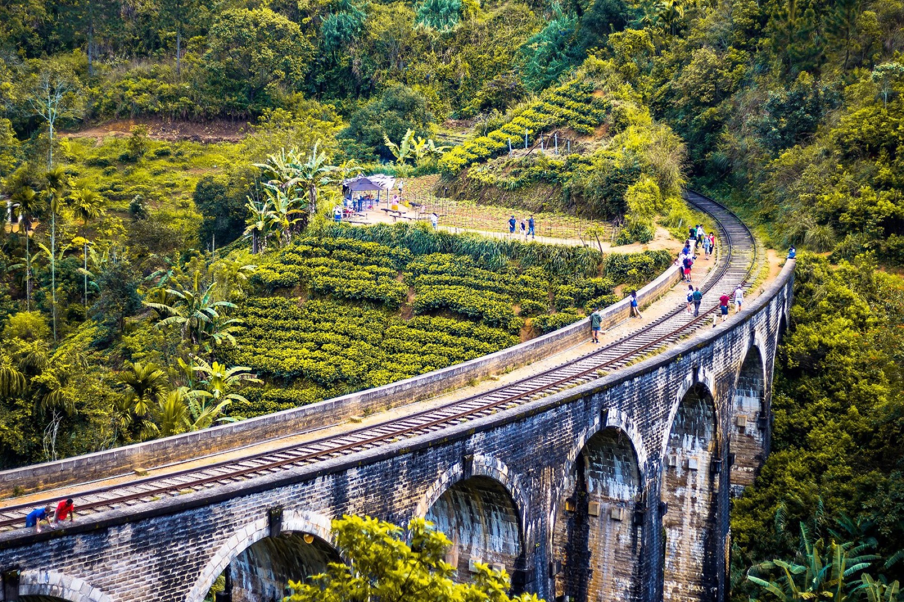 Mahesh Travellers — Ella hill-country rail route